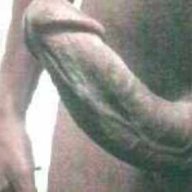 eight8inch