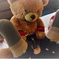 TeddyG