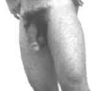 Diony42438