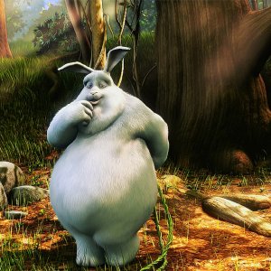 Uploaded by:bigcountry8