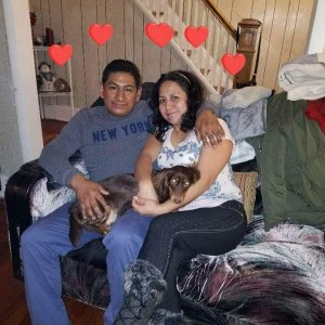 Uploaded by:Paulopaulina