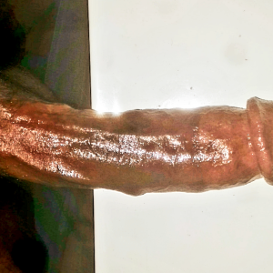 Uploaded by:Qbert1234