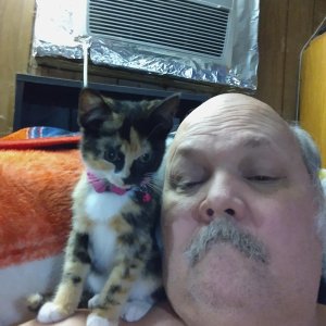 Uploaded by:kokomojoe