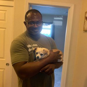 Uploaded by:Caocaowood