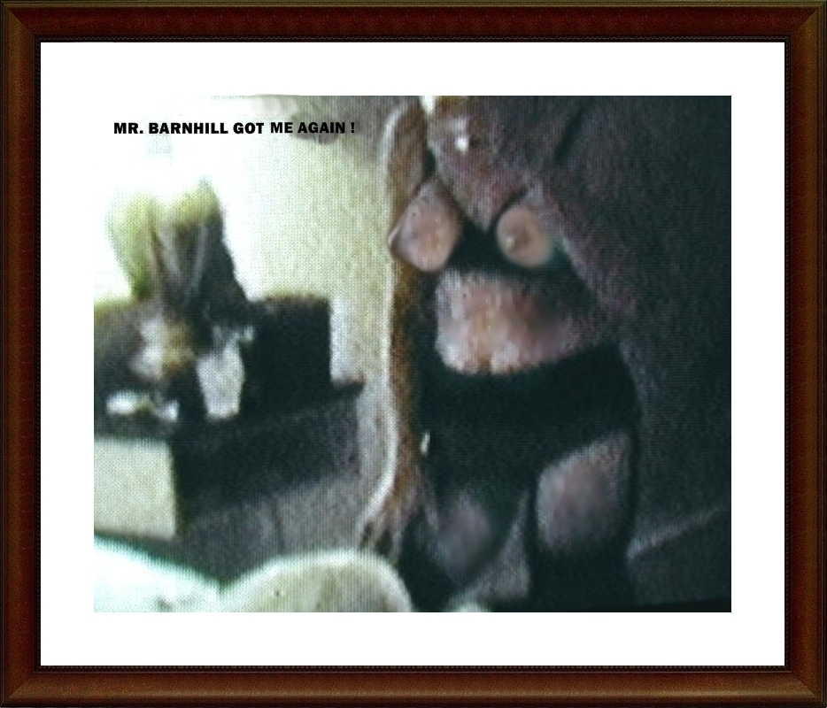 Uploaded by:Barbiebnymph