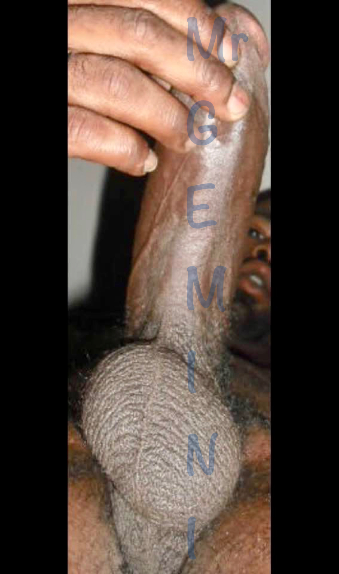 Uploaded by:MrGemini