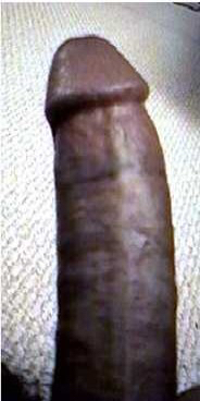 Uploaded by:SEPABlaine