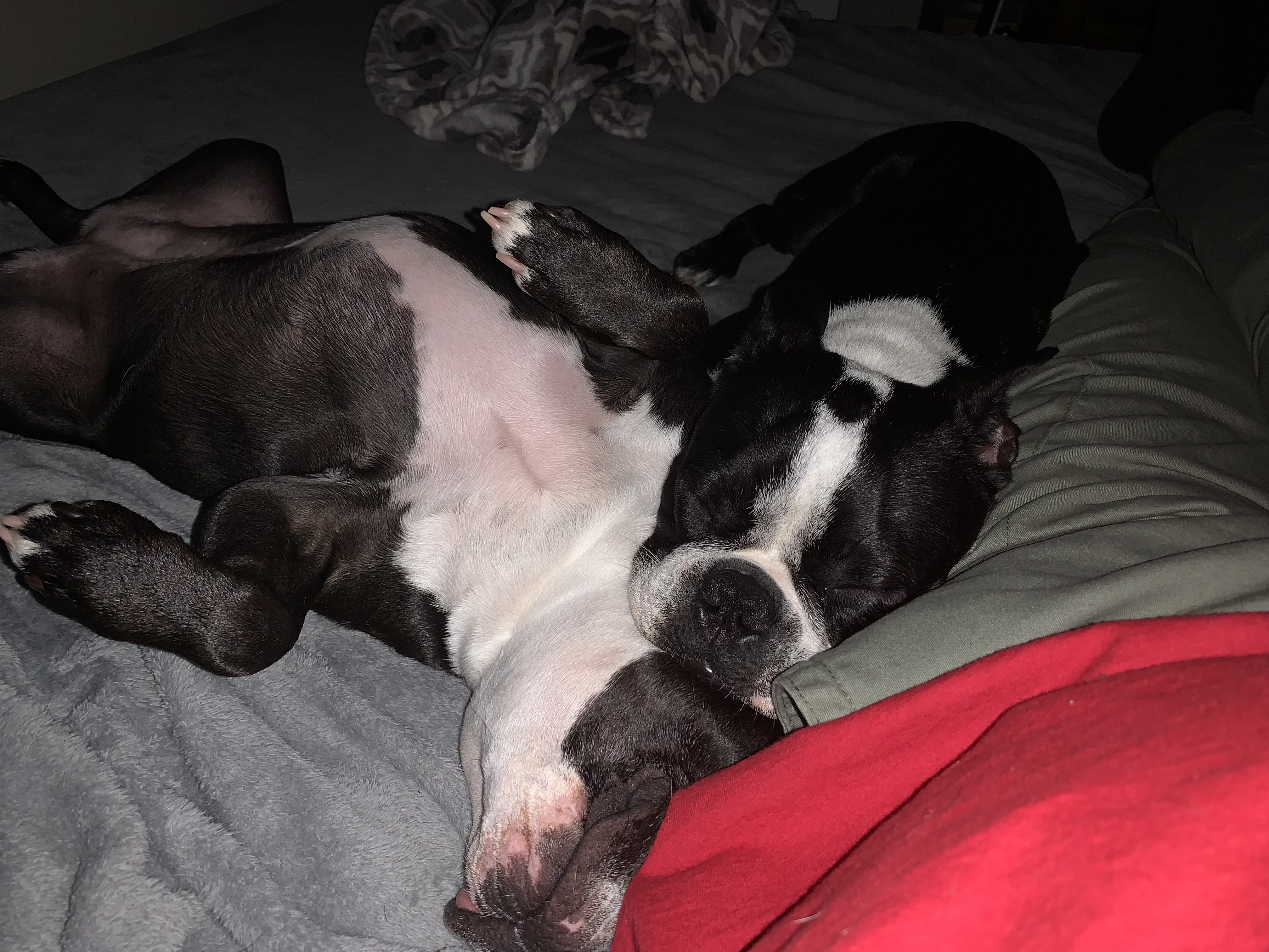 Uploaded by:tanker2424